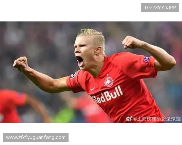 Z6尊龙网站app用户体验提升方案，优化界面设计与操作流程推荐